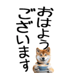 老眼でも見える柴犬スタンプ（個別スタンプ：3）