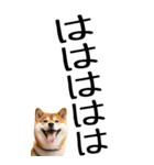 老眼でも見える柴犬スタンプ（個別スタンプ：25）