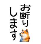 老眼でも見える柴犬スタンプ（個別スタンプ：35）