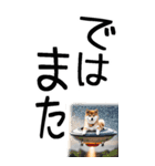 老眼でも見える柴犬スタンプ（個別スタンプ：38）
