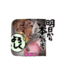 猫シャワー #あいさつ #普段使い（個別スタンプ：2）
