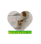 猫シャワー #あいさつ #普段使い（個別スタンプ：4）