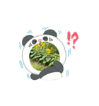 ひまわりの季節（個別スタンプ：5）