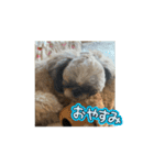 まーすけかわいい（個別スタンプ：7）