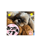 まーすけかわいい（個別スタンプ：14）