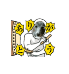 日々是好日徒然犬猫3（個別スタンプ：4）
