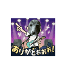 日々是好日徒然犬猫3（個別スタンプ：8）
