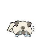 ぱぐさんの感情豊かな日常（個別スタンプ：19）