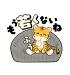 とらさん ♡ シニアさんあるある(デカ文字)（個別スタンプ：10）