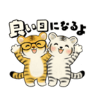 とらさん ♡ シニアさんあるある(デカ文字)（個別スタンプ：37）