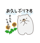 くまさんの優しい夏！（個別スタンプ：4）