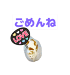 普段使いの猫スタンプ#あいさつ#猫（個別スタンプ：4）
