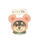 くま豆さんのスタンプ（個別スタンプ：3）