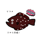 魚スタンプ第16弾  〜平べったい魚編〜（個別スタンプ：1）