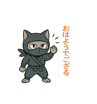 忍者猫002（個別スタンプ：1）