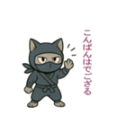 忍者猫002（個別スタンプ：3）