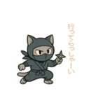 忍者猫002（個別スタンプ：8）
