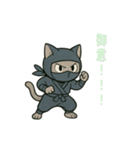 忍者猫002（個別スタンプ：9）