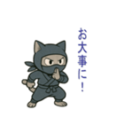 忍者猫002（個別スタンプ：10）