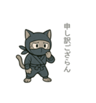 忍者猫002（個別スタンプ：11）