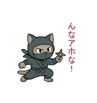 忍者猫002（個別スタンプ：13）