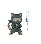忍者猫002（個別スタンプ：14）