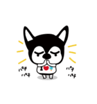 チワワのダブ。アイ♡アイス（個別スタンプ：8）