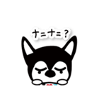 チワワのダブ。アイ♡アイス（個別スタンプ：10）
