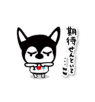 チワワのダブ。アイ♡アイス（個別スタンプ：20）