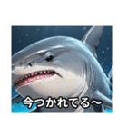 サメです。じょーずに使ってください。（個別スタンプ：9）