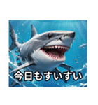 サメです。じょーずに使ってください。（個別スタンプ：13）