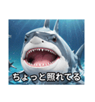 サメです。じょーずに使ってください。（個別スタンプ：28）