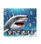 サメです。じょーずに使ってください。（個別スタンプ：29）