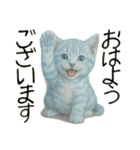 推し猫【青】.（個別スタンプ：5）