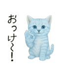 推し猫【青】.（個別スタンプ：8）