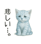 推し猫【青】.（個別スタンプ：37）