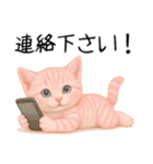 推し猫【桃】.（個別スタンプ：1）