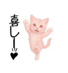 推し猫【桃】.（個別スタンプ：5）