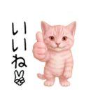 推し猫【桃】.（個別スタンプ：6）