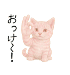 推し猫【桃】.（個別スタンプ：7）