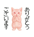 推し猫【桃】.（個別スタンプ：9）