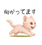 推し猫【桃】.（個別スタンプ：11）