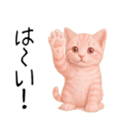 推し猫【桃】.（個別スタンプ：12）