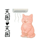 推し猫【桃】.（個別スタンプ：16）