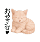 推し猫【桃】.（個別スタンプ：19）