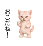 推し猫【桃】.（個別スタンプ：31）