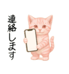 推し猫【桃】.（個別スタンプ：33）