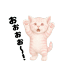 推し猫【桃】.（個別スタンプ：40）