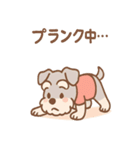 スポシュナの元気スポーツ応援（個別スタンプ：6）