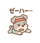 スポシュナの元気スポーツ応援（個別スタンプ：38）